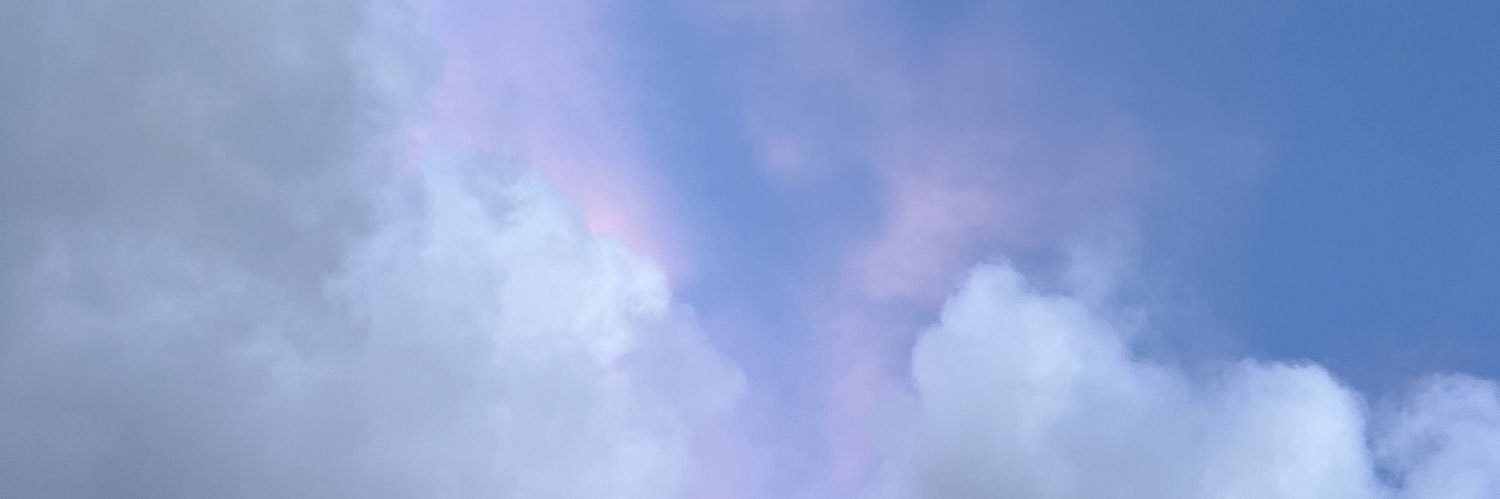Christie's banner