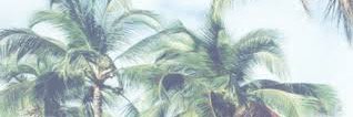 MHMonserrat's profile banner image