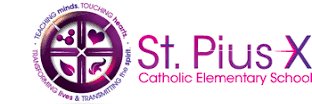 St. Pius X School banner