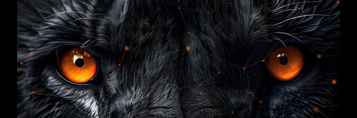 infallibleph's profile banner image