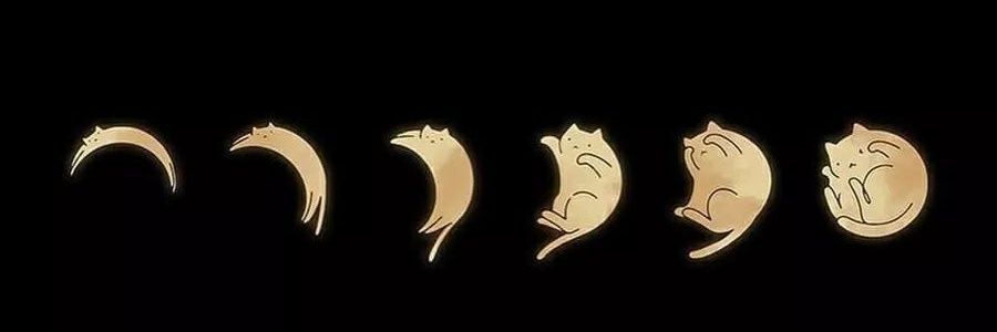 Bsr_Yksl's profile banner image