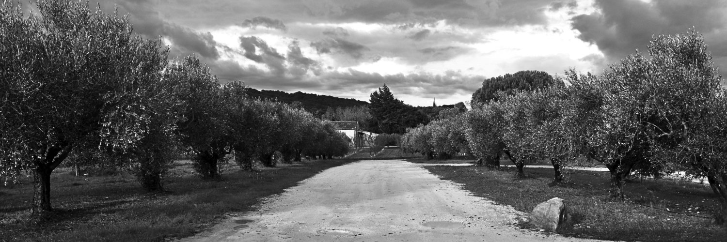 MiguelChendo's profile banner image