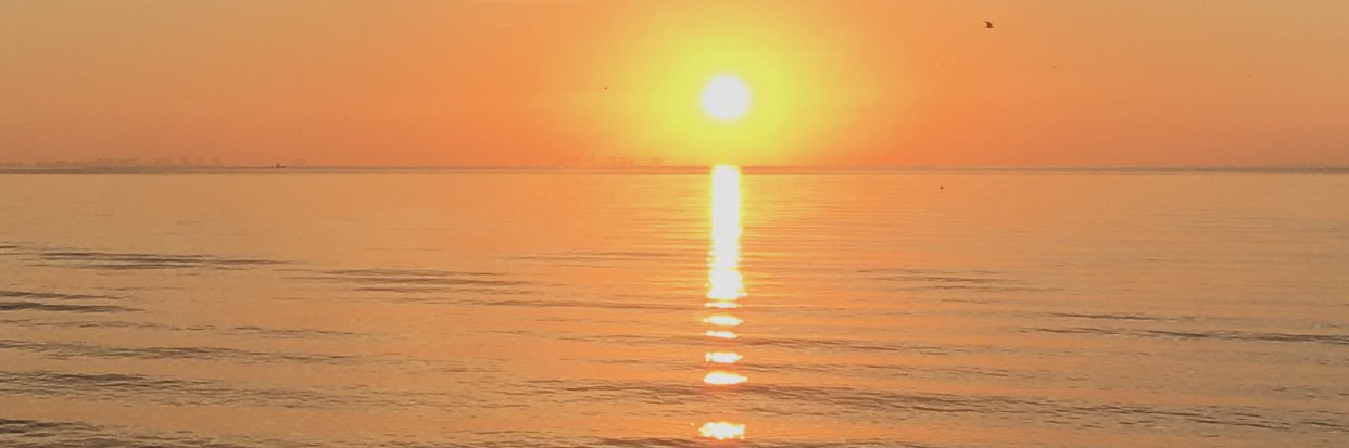 MitchWaks's profile banner image