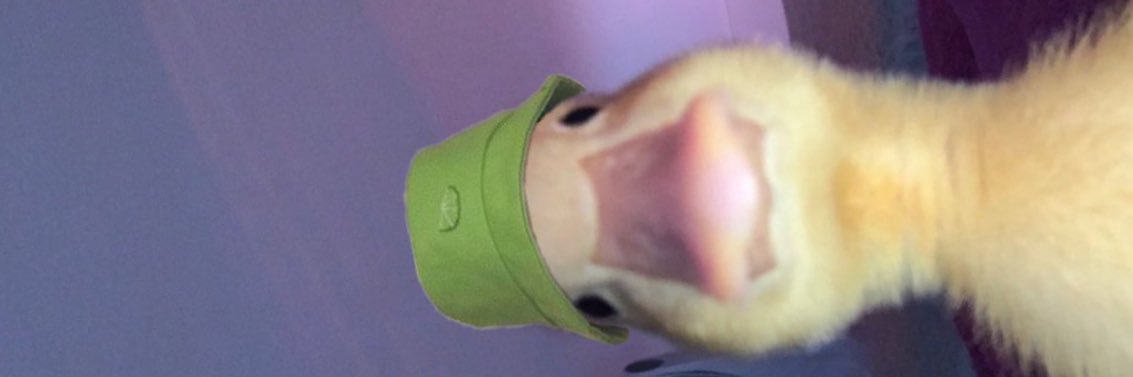 TheMarcologist's profile banner image