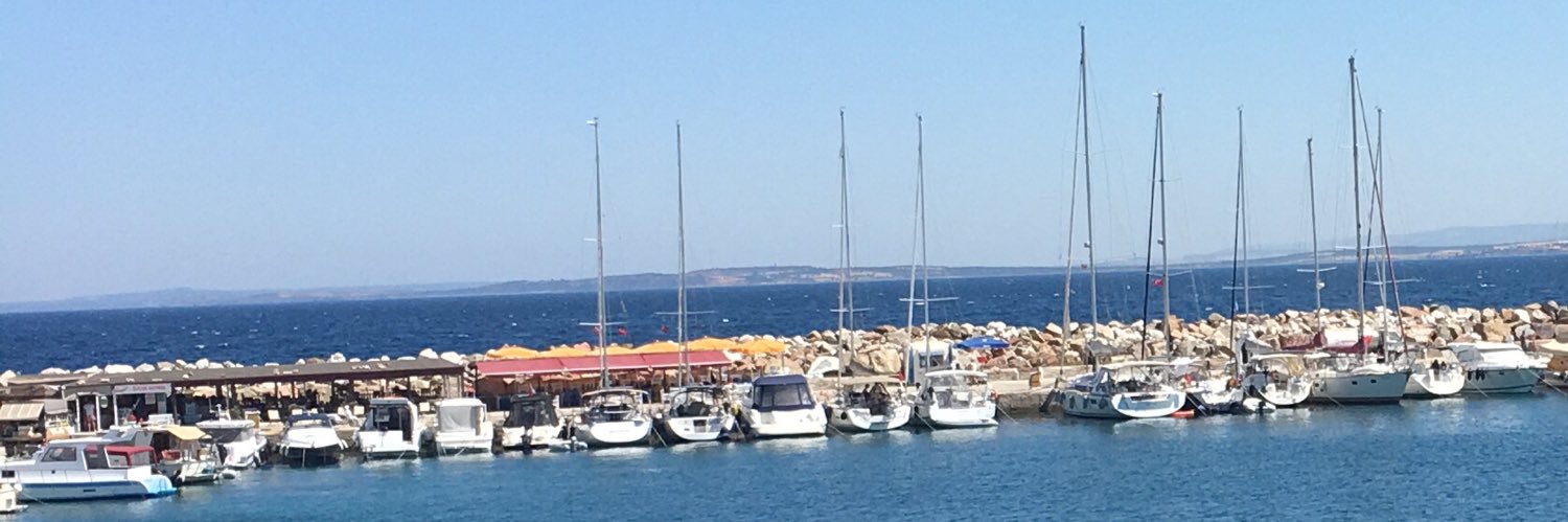 alazcim's profile banner image