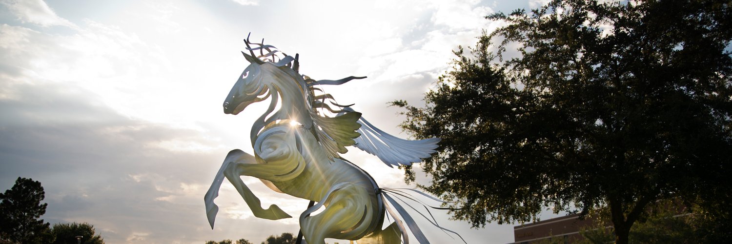 DrChristaCook's profile banner image