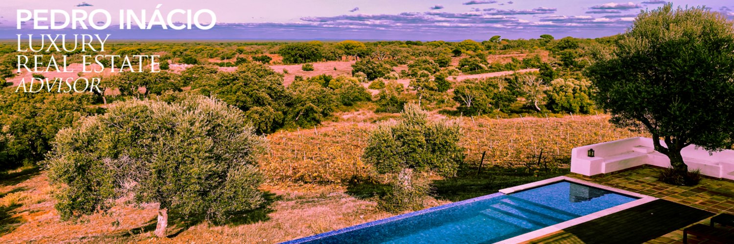 pedromainacio's profile banner image