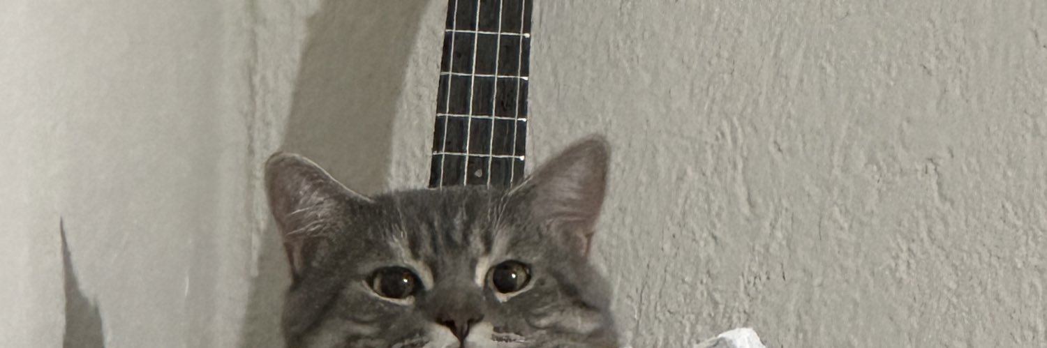 owlcns's profile banner image