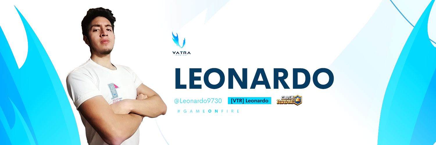 Leonardo banner