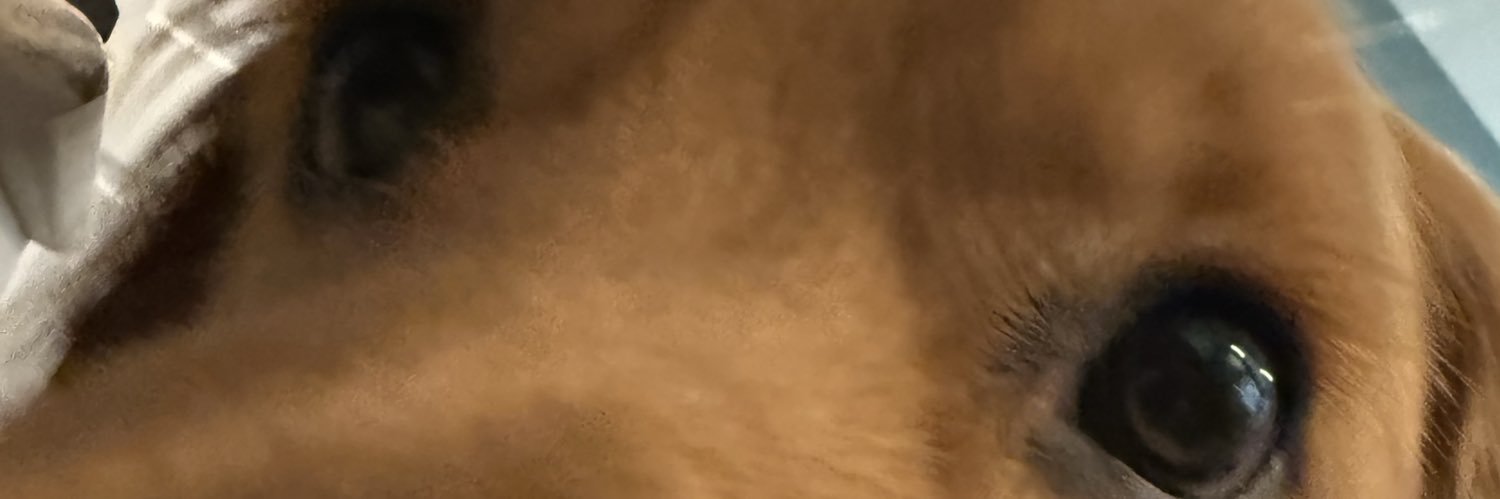 ksullivan80's profile banner image