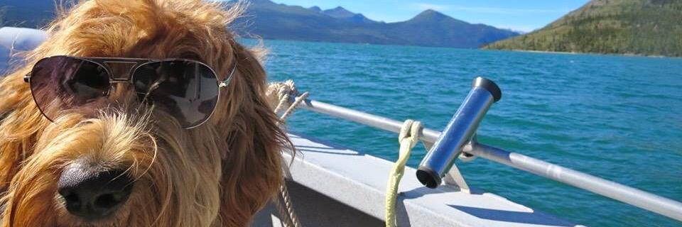 shaylabreck's profile banner image