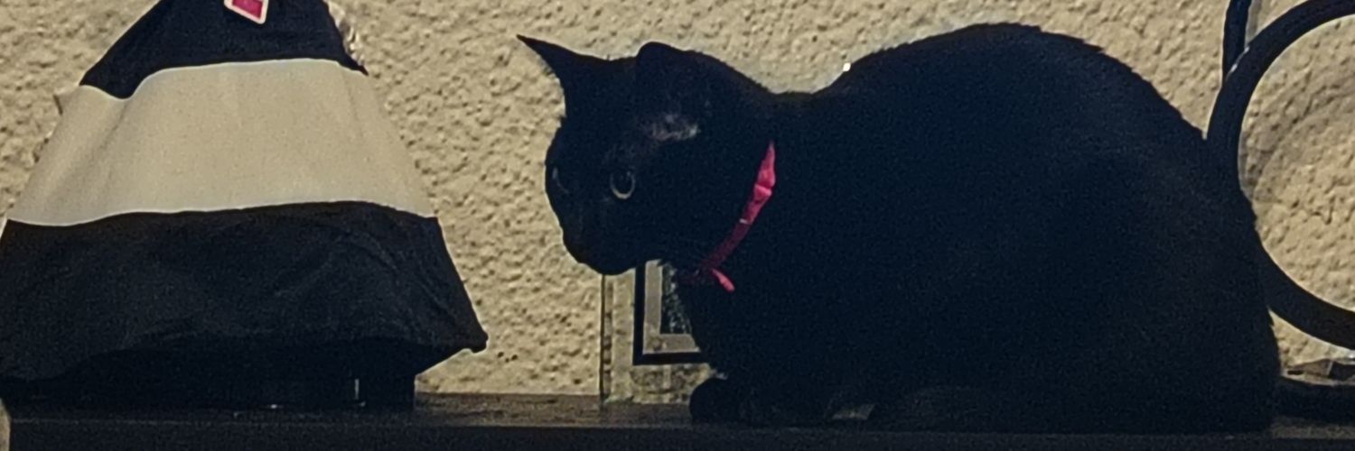 ill_nina's profile banner image