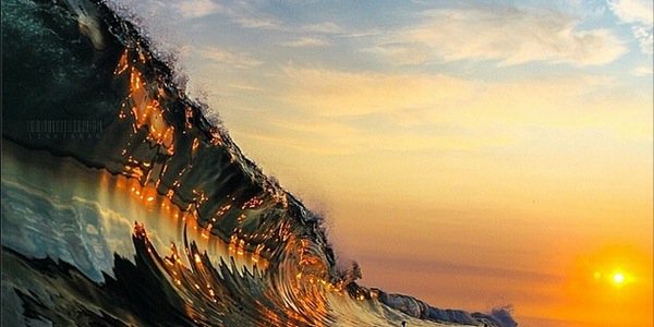 ltfsengul's profile banner image
