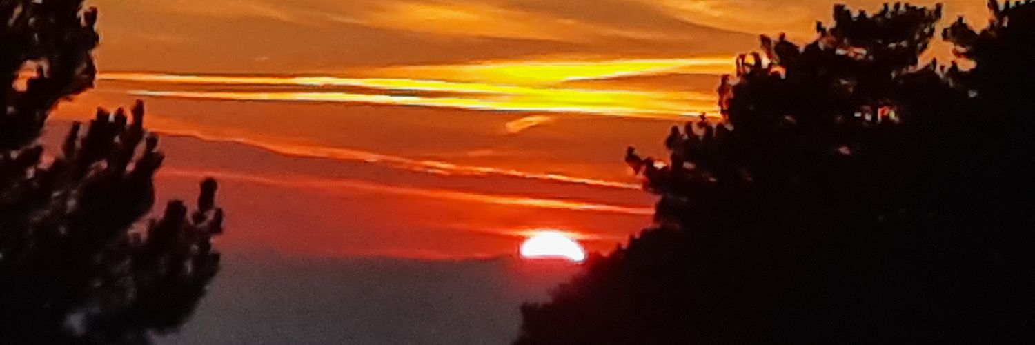 Maarten Haest banner