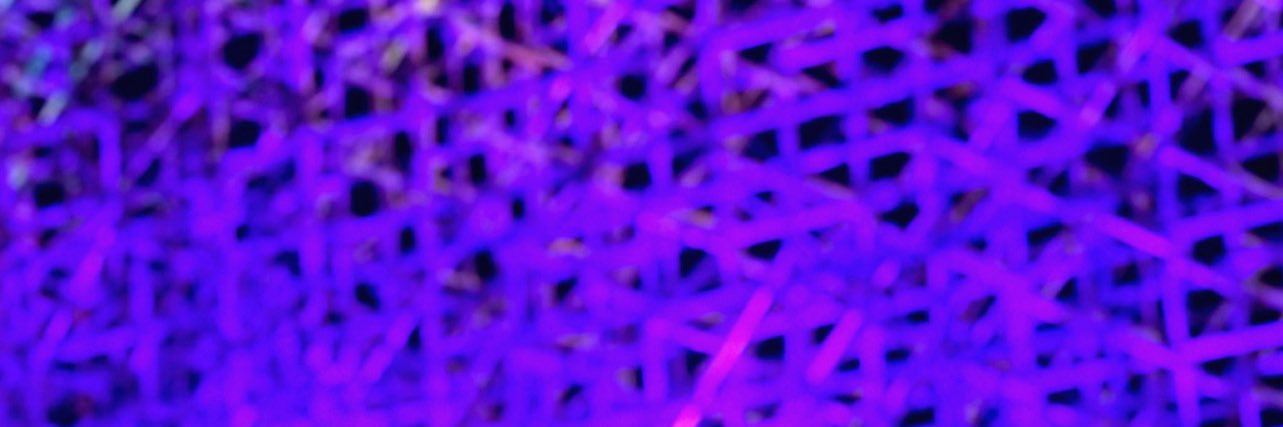 gabreolo's profile banner image