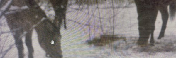 RamboC130 Profile Banner