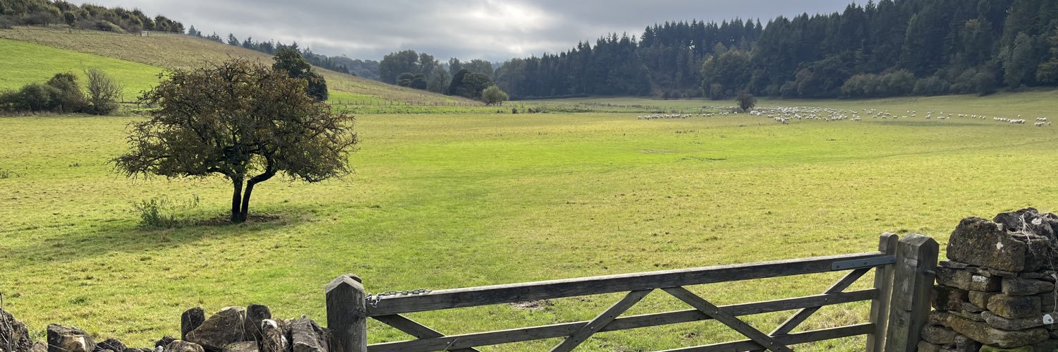 Rachel Prout banner