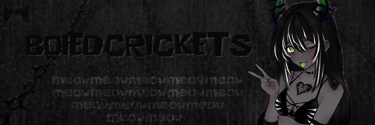 Cricket ✩࿐࿔ banner