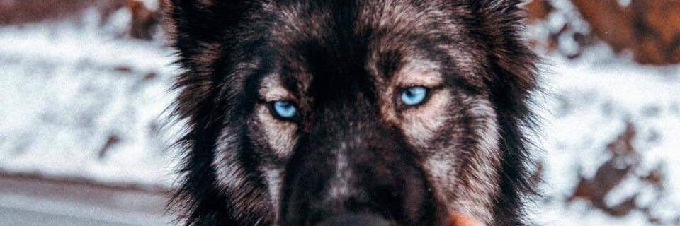 _mabx's profile banner image