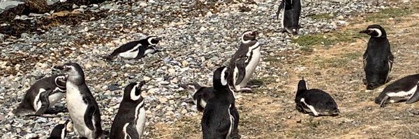 Hollandude Profile Banner