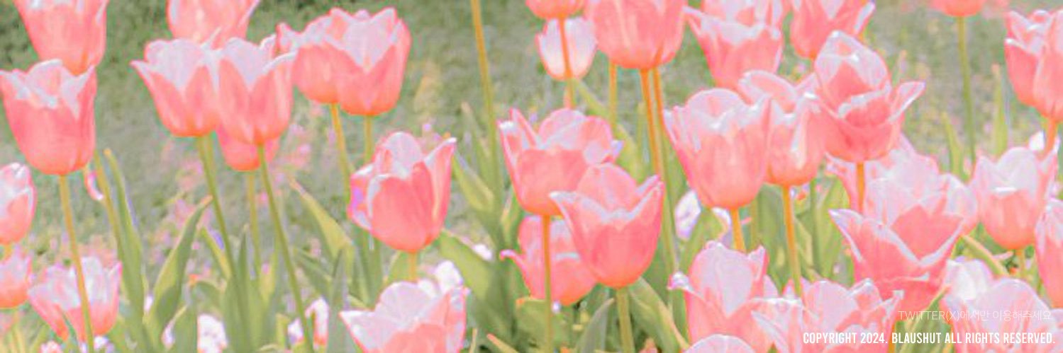 릴류·͜· banner