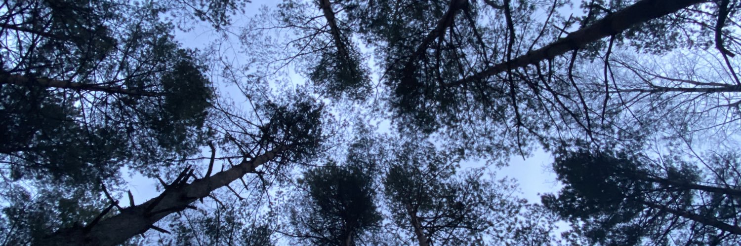 SeymaAkengin's profile banner image