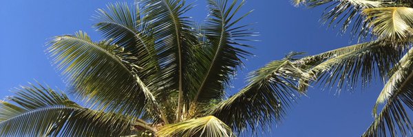 DemoBoysHoop Profile Banner