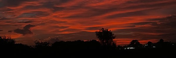 pynotta Profile Banner