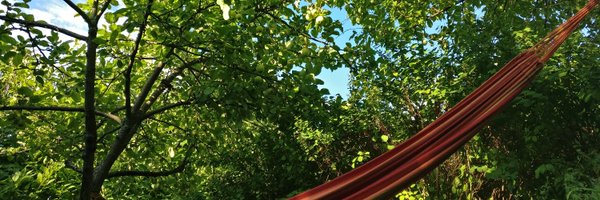 MinnaTorppa Profile Banner
