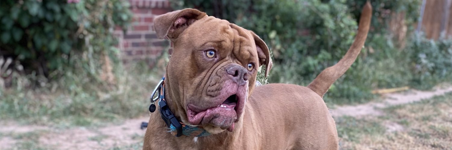 ZachRamirez54's profile banner image