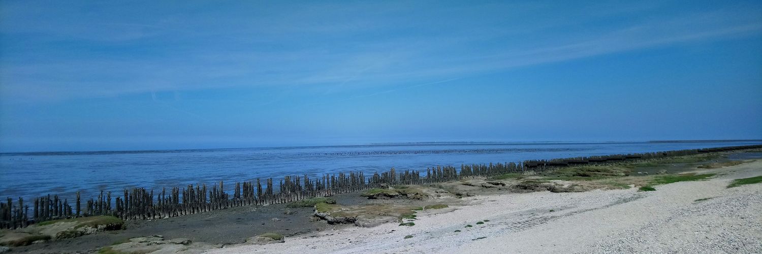 Patrick Heemstra banner