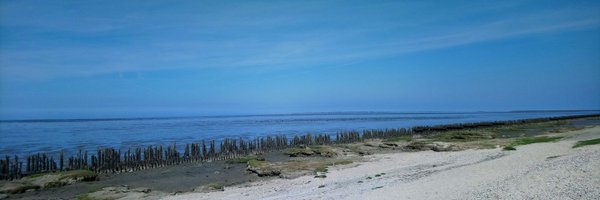 patrick23dingen Profile Banner