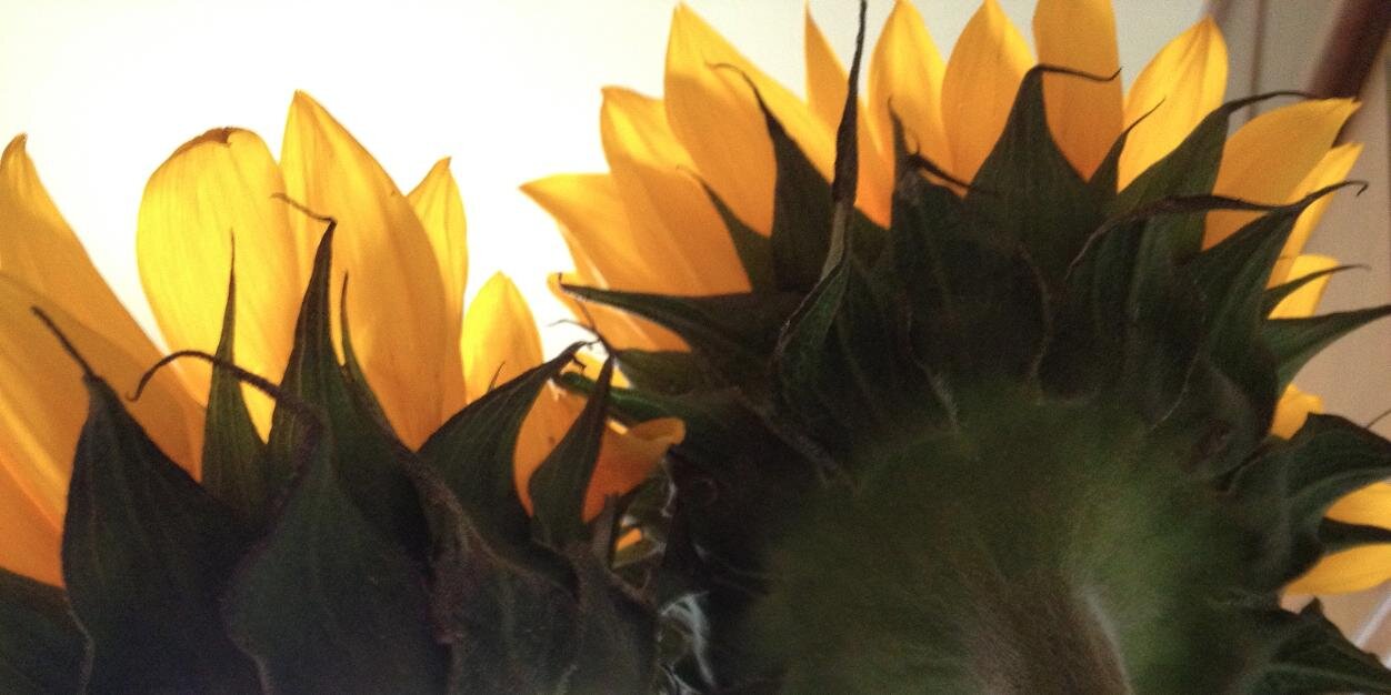 BeckyLoehr's profile banner image