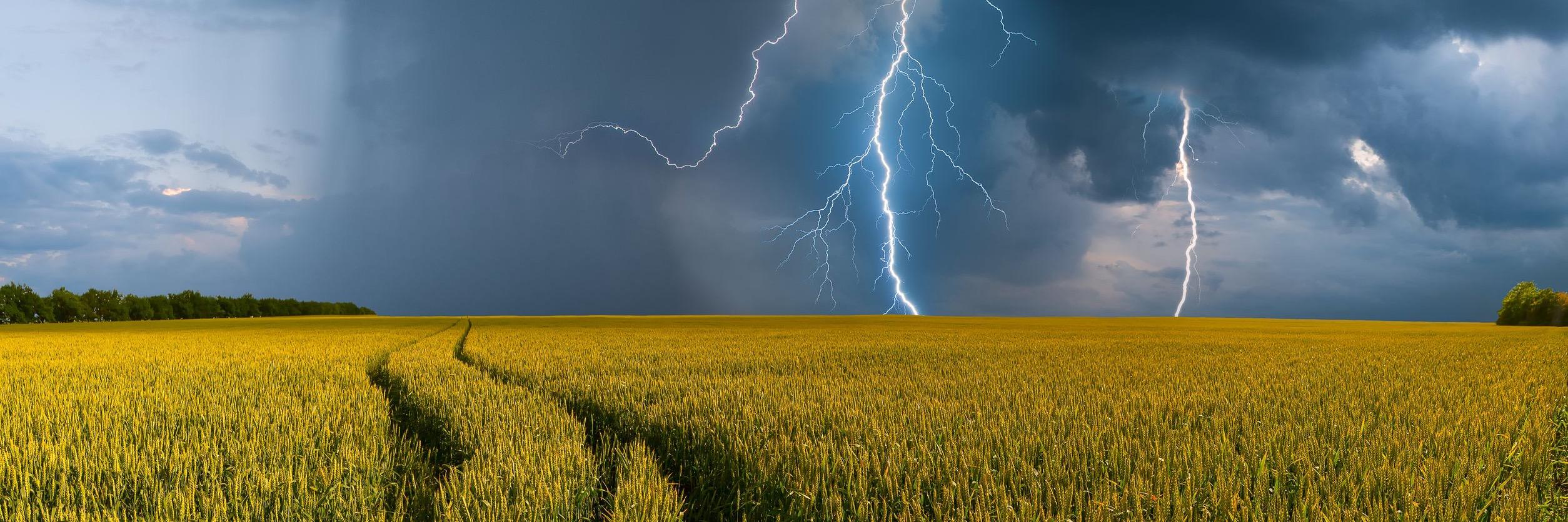 Crop Insurance banner