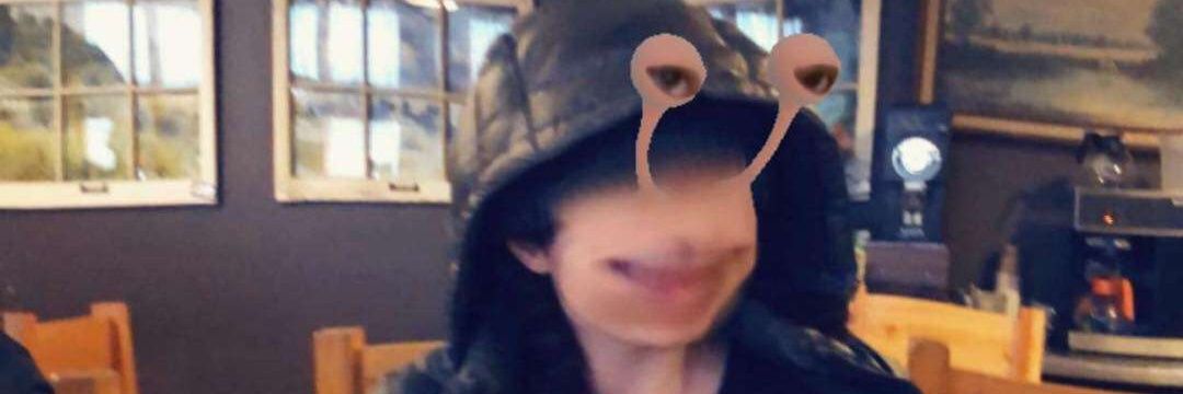 SamTheOnionLord's profile banner image