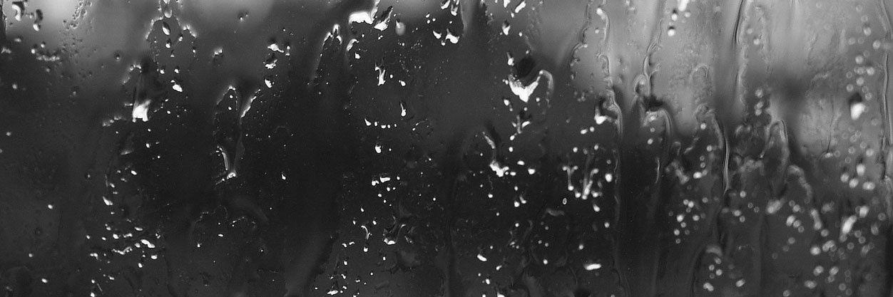BizarreFille's profile banner image