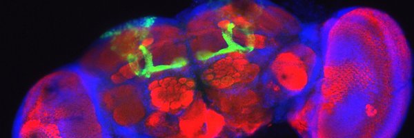 JasperJanssens7 Profile Banner