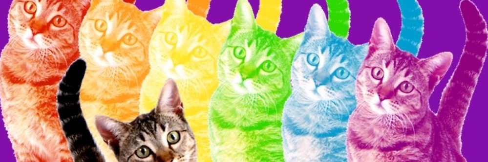 BriannaJanuary's profile banner image