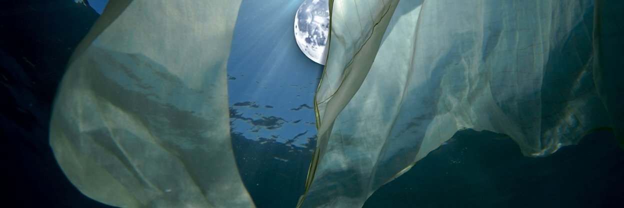 Jakub Plichta banner