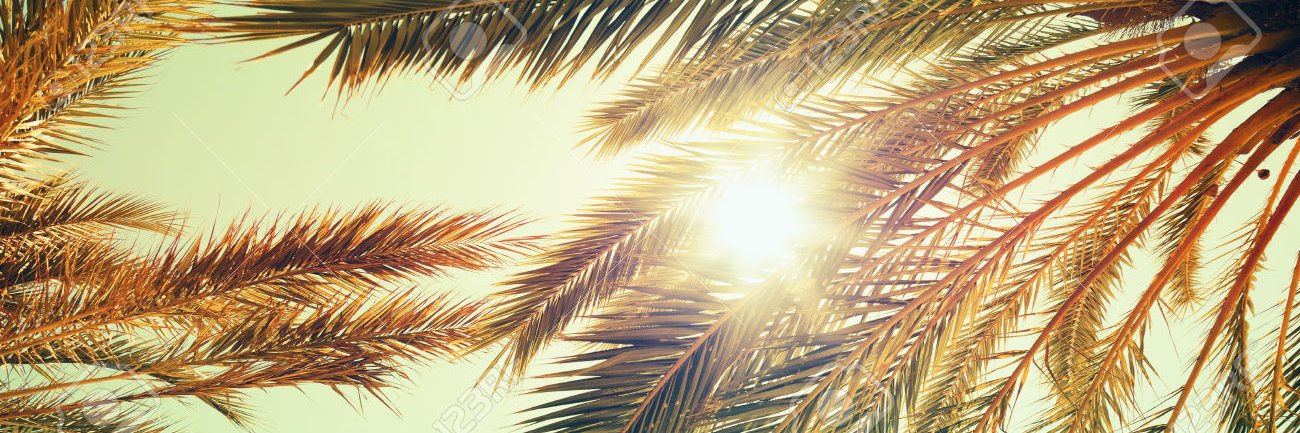 RaniPermentier's profile banner image