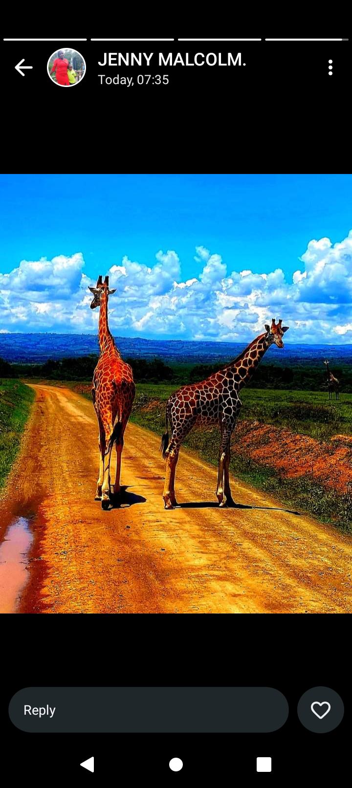 m44yo's profile banner image