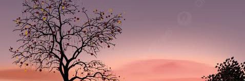 daty_yu's profile banner image