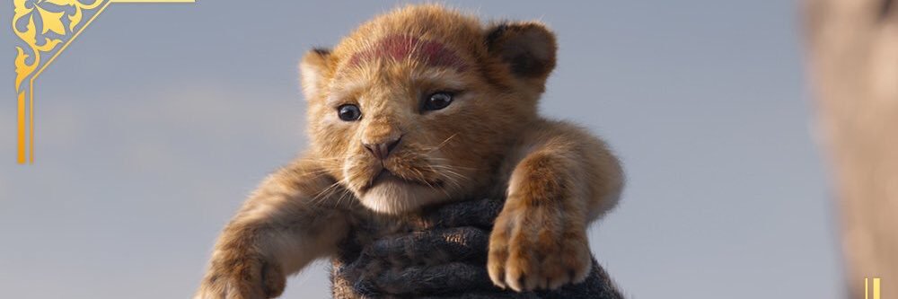 LlYavx's profile banner image