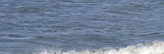 Javier Ariza Cantero banner