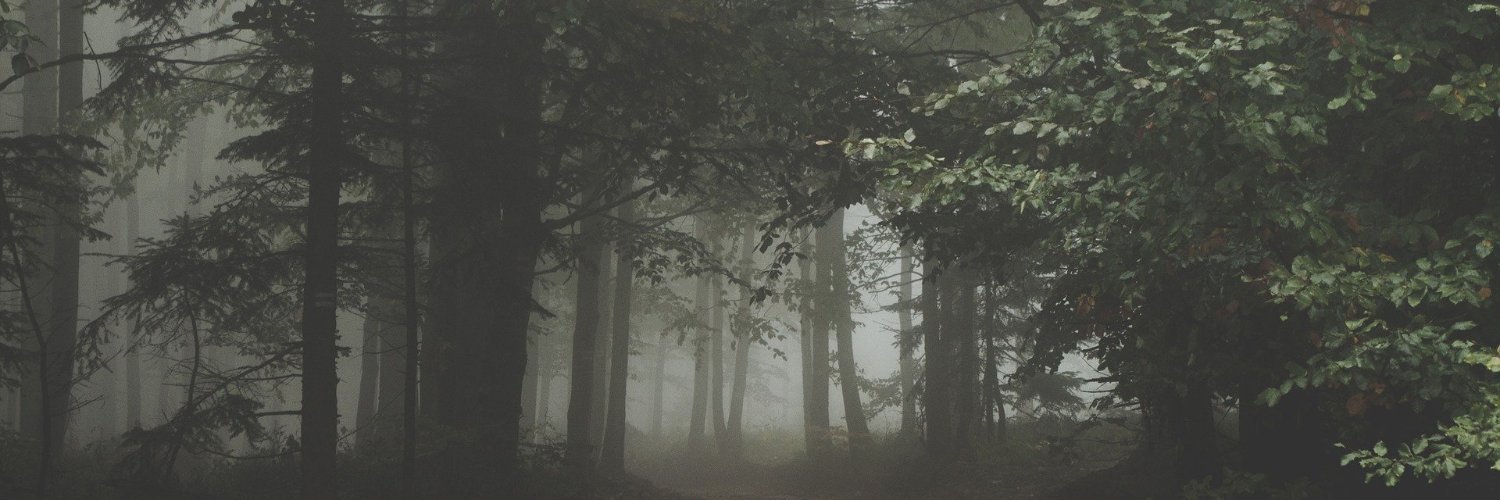 MiPlanetaEs's profile banner image