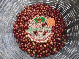 CafeGalilea's profile banner image