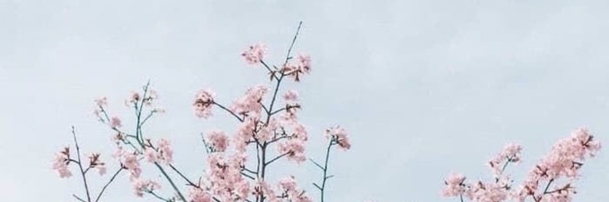 tgbndrm's profile banner image
