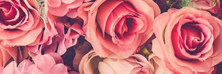Malak002A's profile banner image