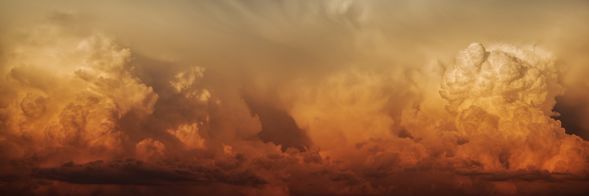Moss Media banner