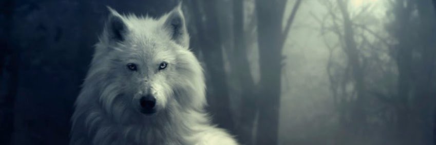 Mr_Demircan17's profile banner image